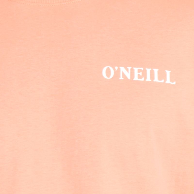 p-2250114000771-3-jpg