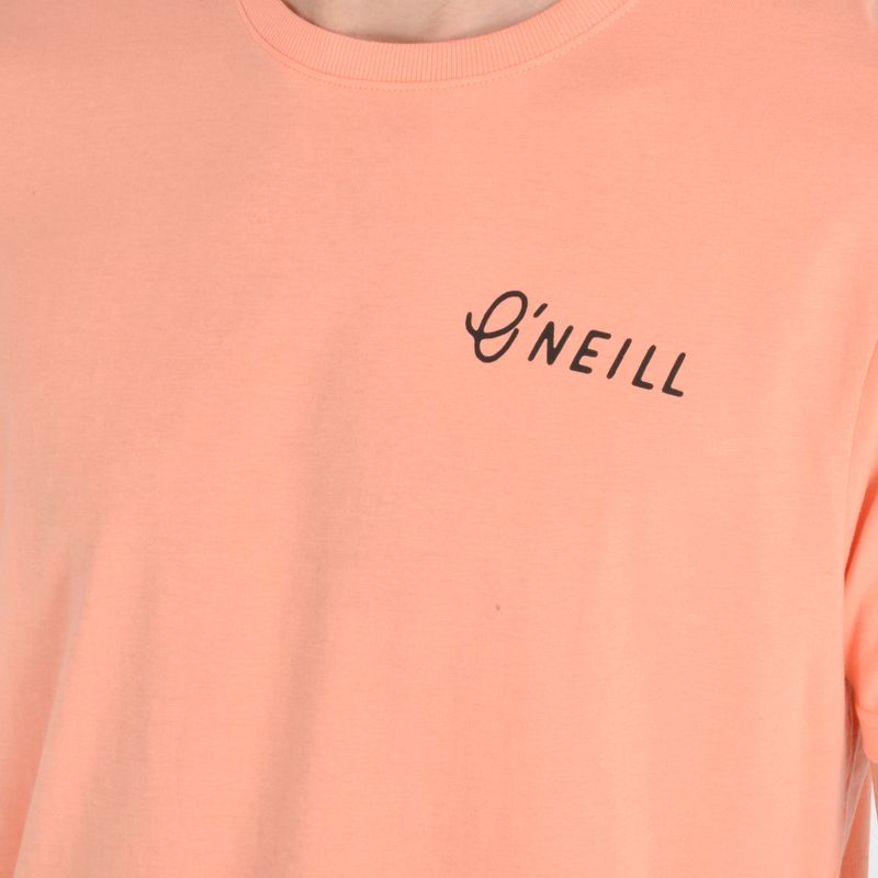 p-2250114000696-3-jpg