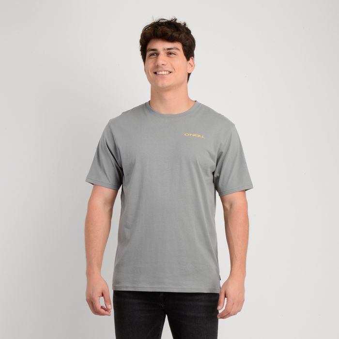 POLERA MANGA CORTA GLASSY DAYS GRIS