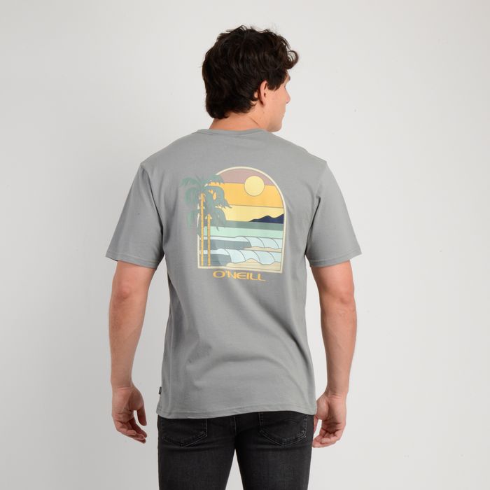 POLERA MANGA CORTA GLASSY DAYS GRIS